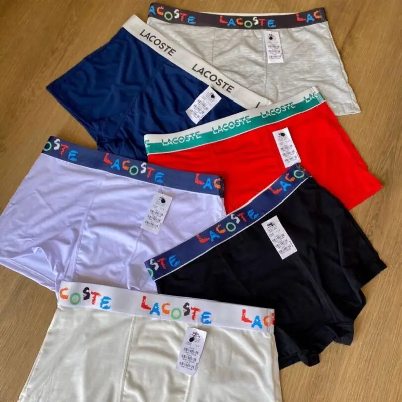 photo_2023-07-19_02-25-32-810x810