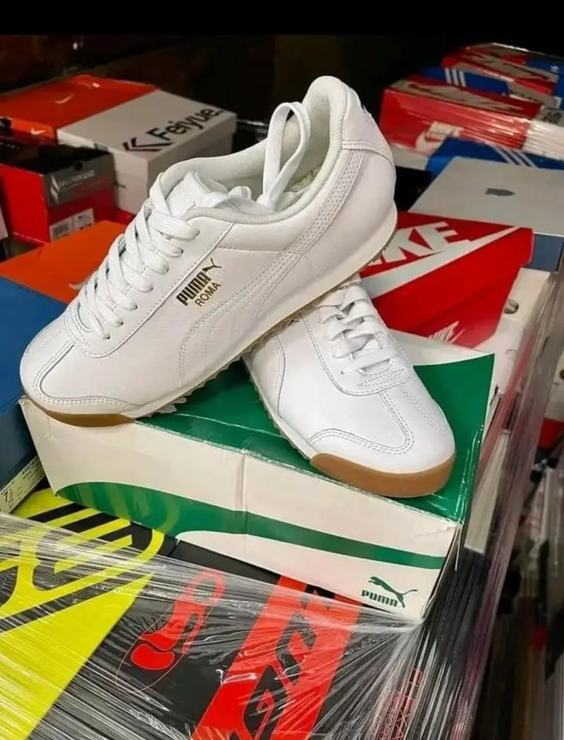 d5d4b465-4b67-4d63-8c86-e358db7c5561-1